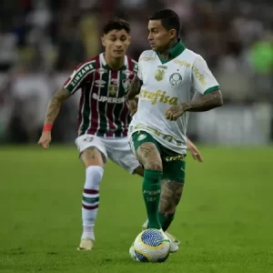 Dudu palmeiras