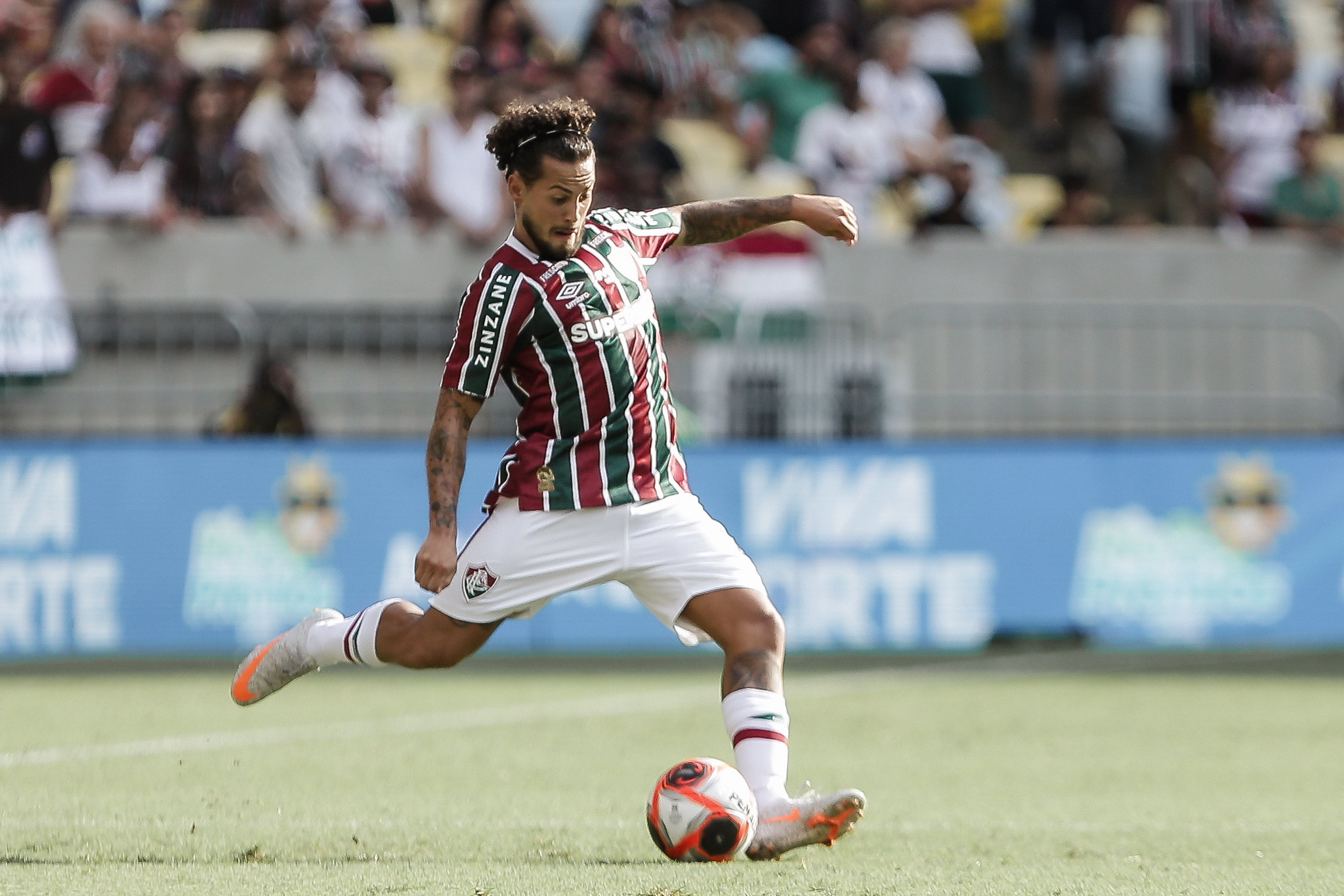 Retorno de Marcelo Pitaluga
